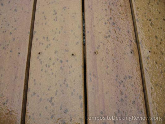Mold spots on a composite deck.